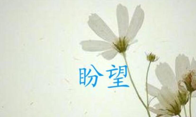 盼望.jpg 盼望.jpg