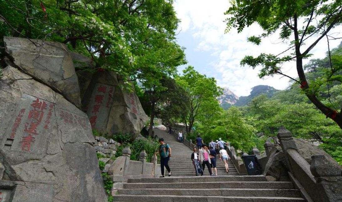 登泰山.jpg