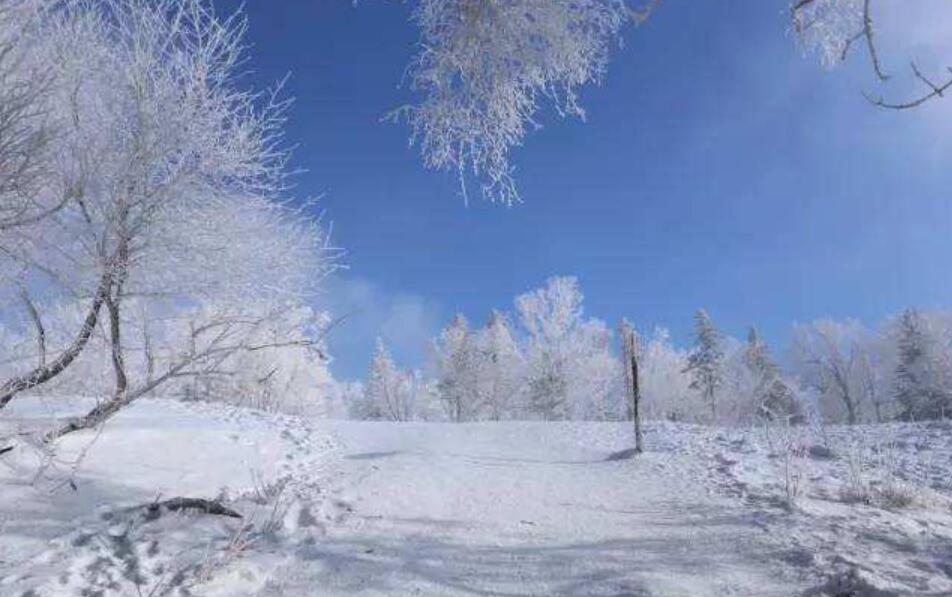 冬天的雪.jpg 冬天的雪.jpg