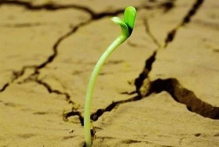 生命的价值.jpg 生命的价值.jpg