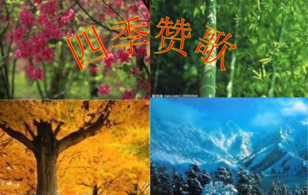 四季赞歌.jpg 四季赞歌.jpg
