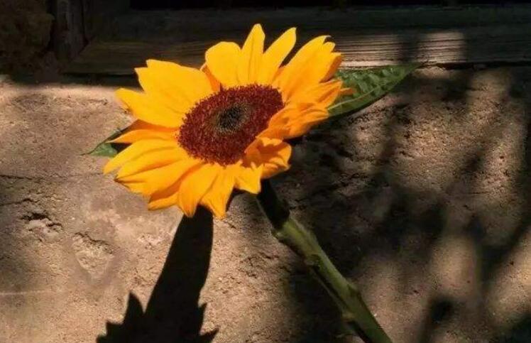 精彩的日子.jpg 精彩的日子.jpg