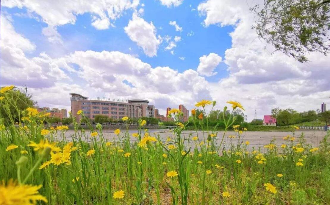 校园的四季.jpg 校园的四季.jpg