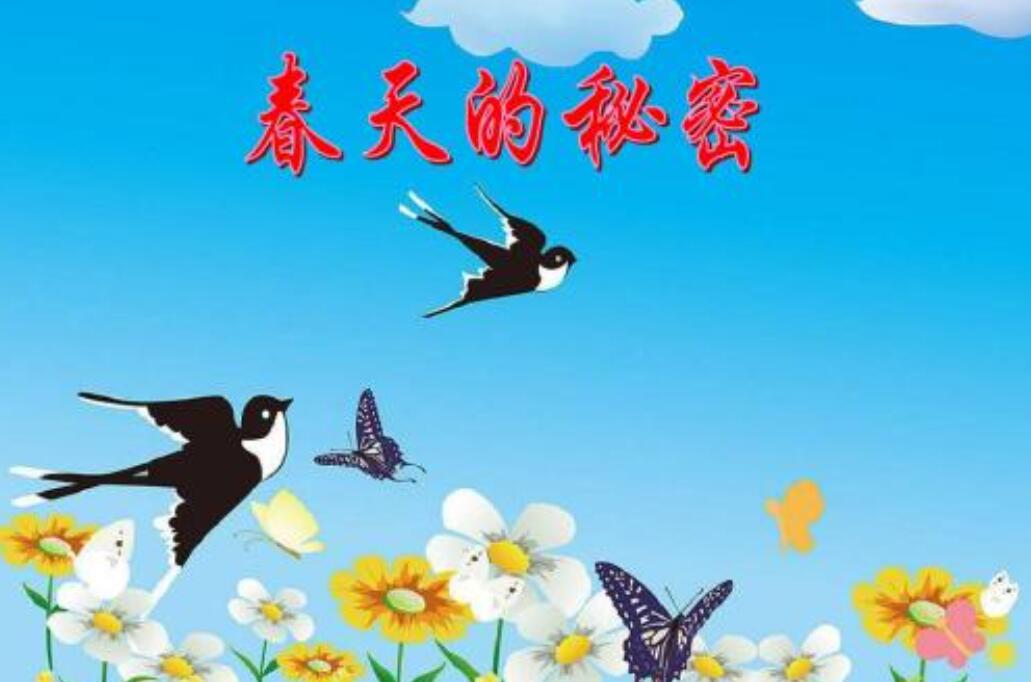 春天的秘密.jpg 春天的秘密.jpg