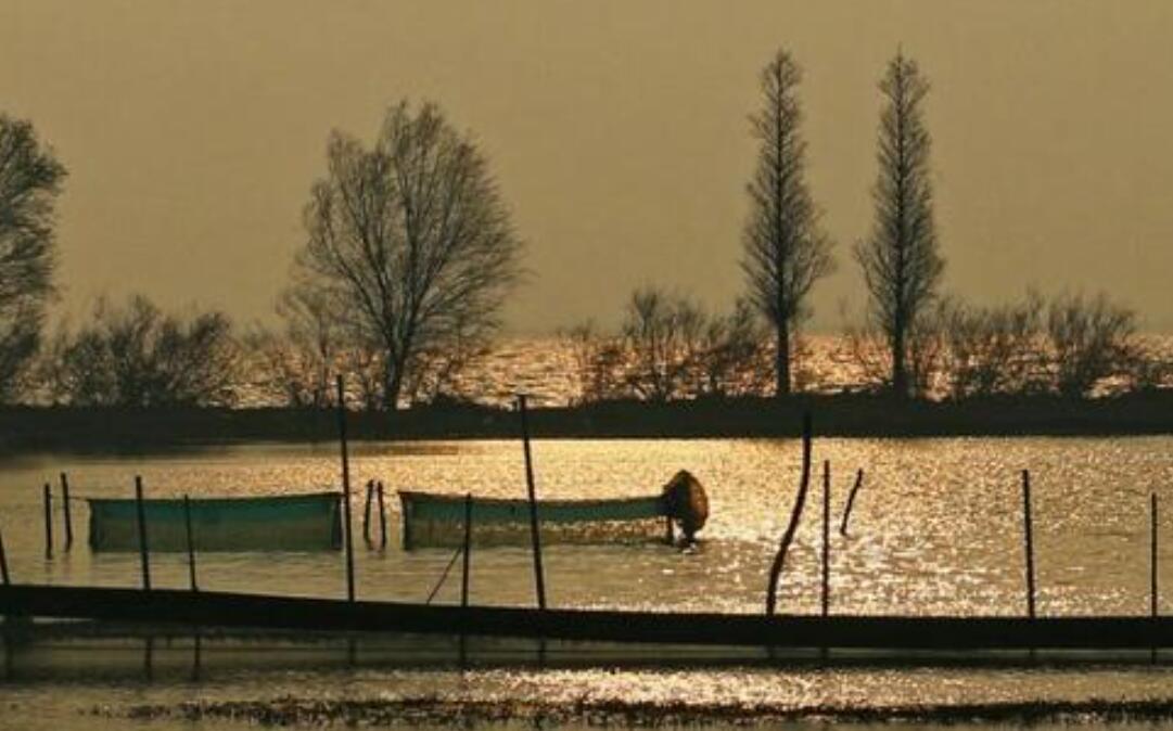 湖边即景.jpg 湖边即景.jpg