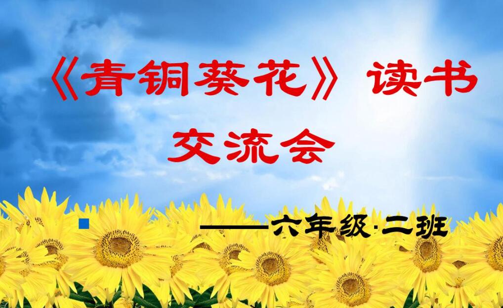 《青铜葵花》.jpg