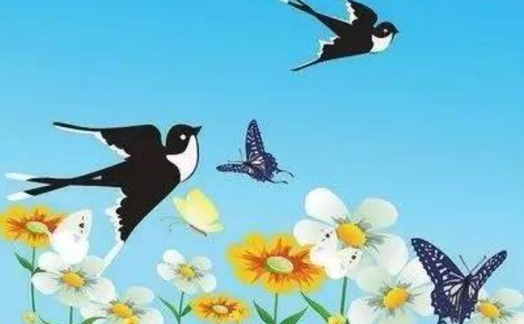 受伤的小燕子.jpg 受伤的小燕子.jpg