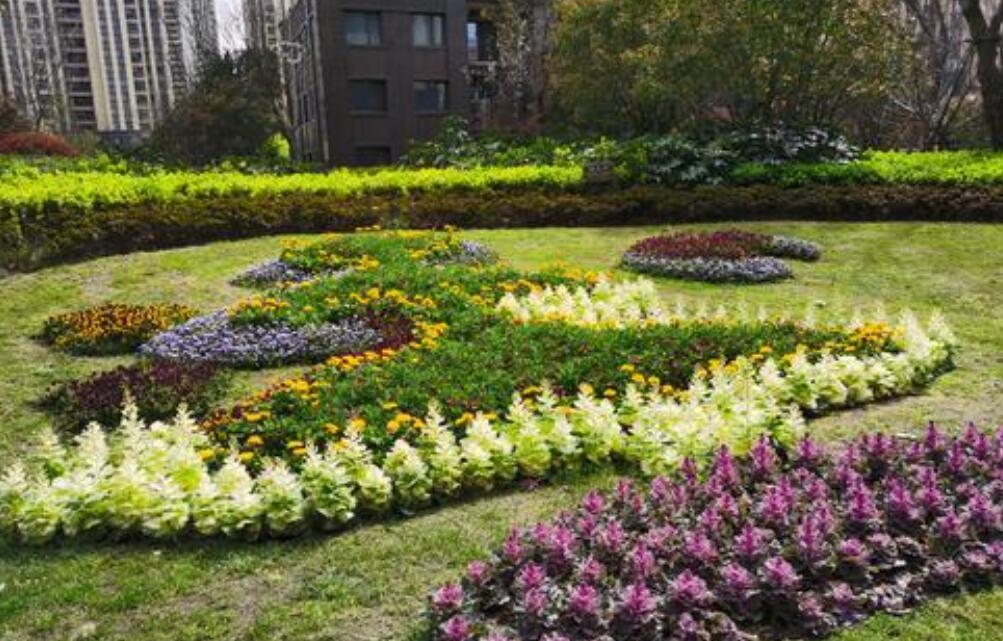 小区真美.jpg 小区真美.jpg