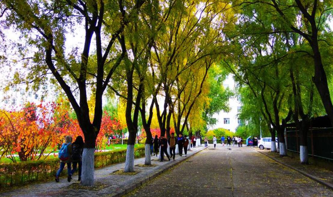 校园秋色美.jpg 校园秋色美.jpg