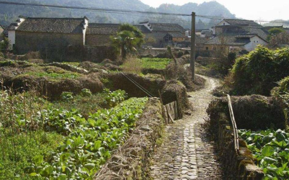 家乡的小路.jpg 家乡的小路.jpg