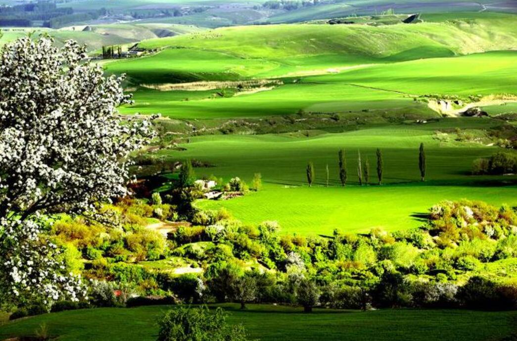 美丽的家乡.jpg 美丽的家乡.jpg