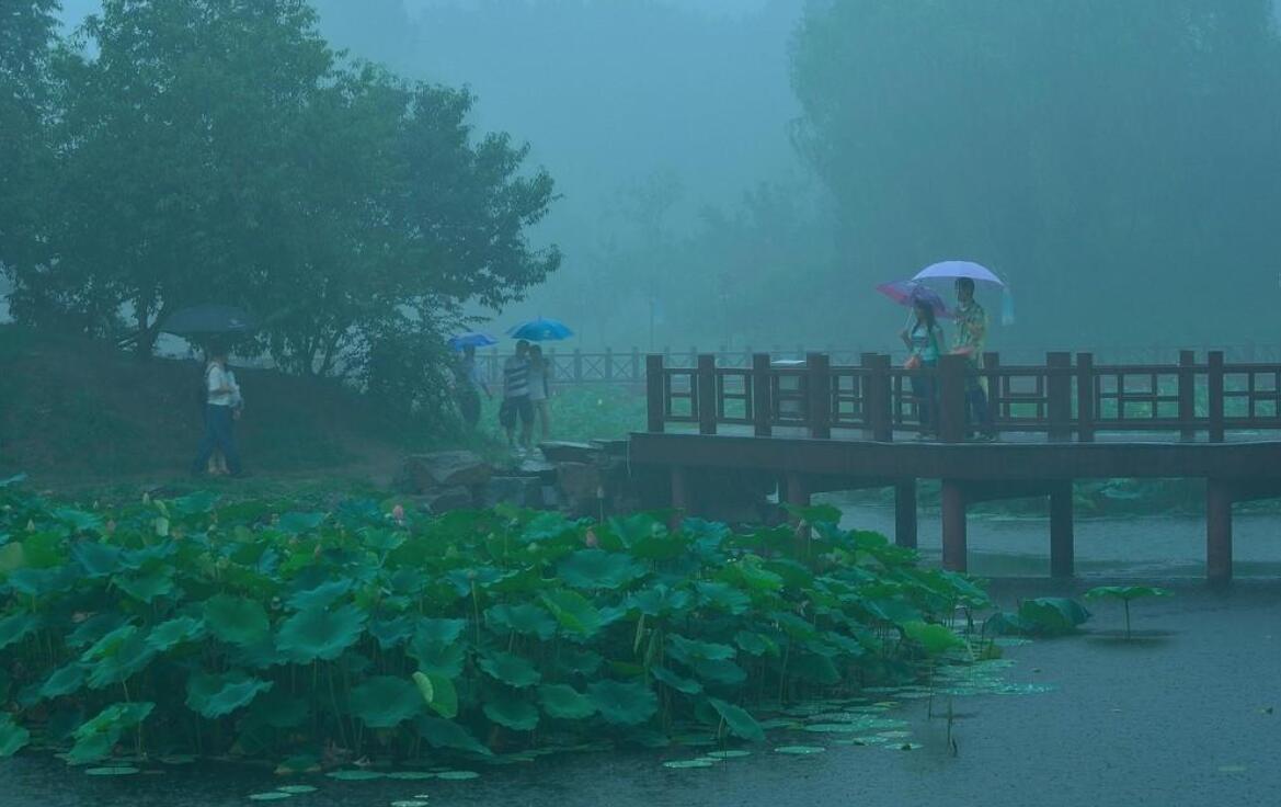 雨中即景.jpg