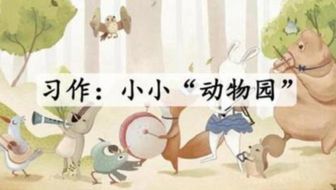 小小动物园.jpg