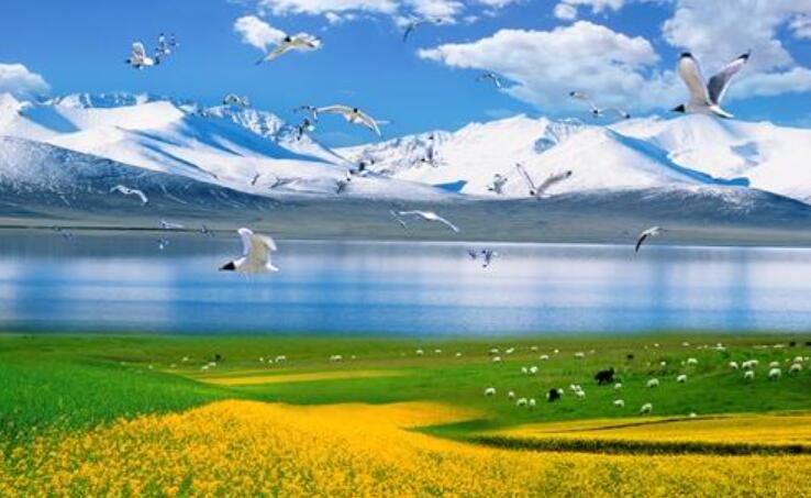 那儿真是一个好地方.jpg 那儿真是一个好地方.jpg