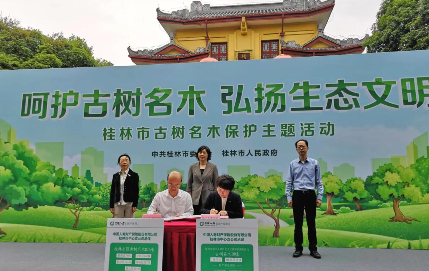 保护古树.jpg
