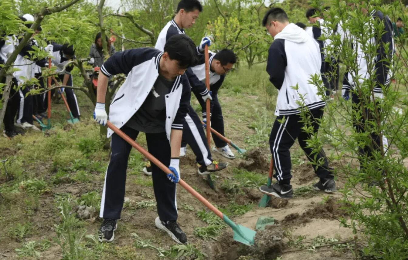 实践活动.jpg 实践活动.jpg