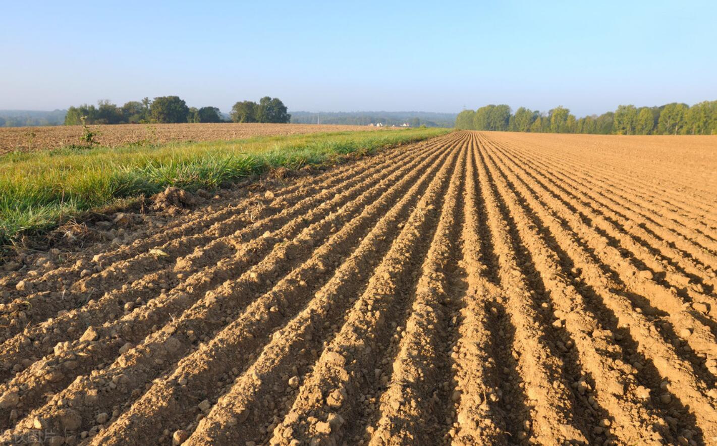 农村土地.jpg 农村土地.jpg