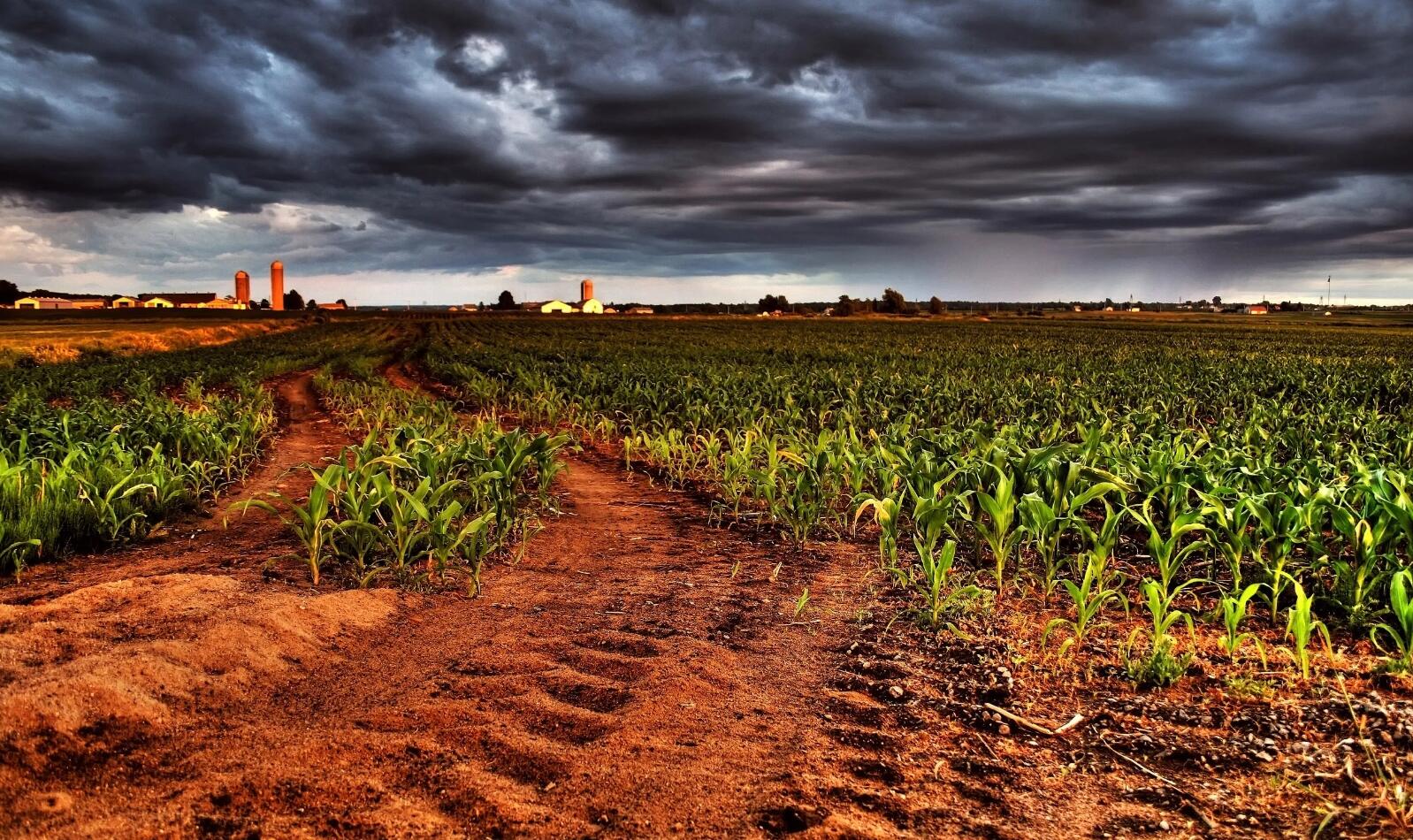 土地.jpg 土地.jpg