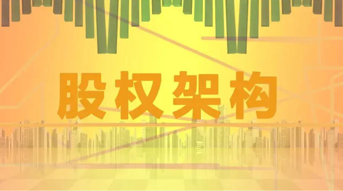 股份分配.jpg 股份分配.jpg