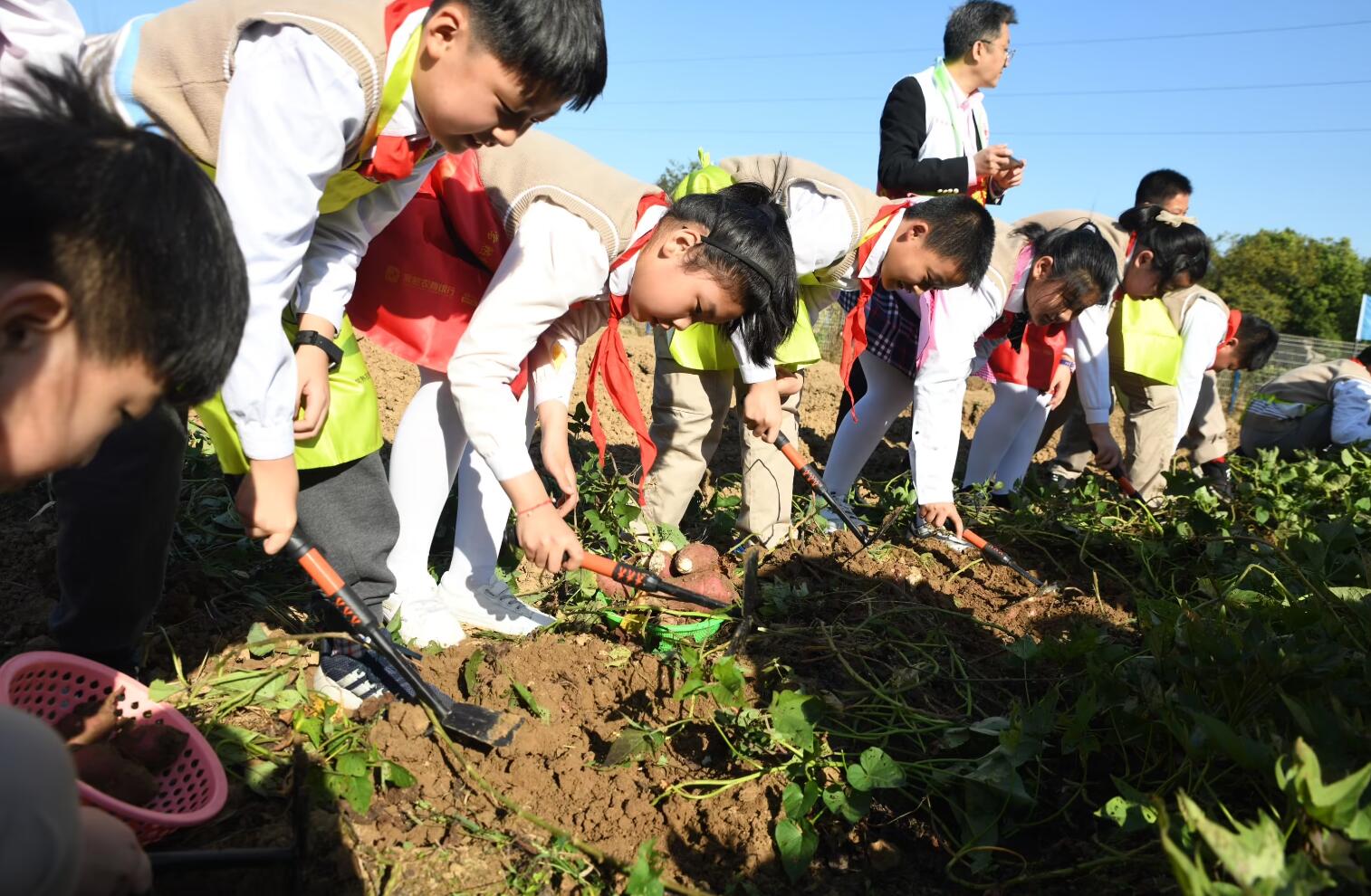 劳动实践.jpg 劳动实践.jpg