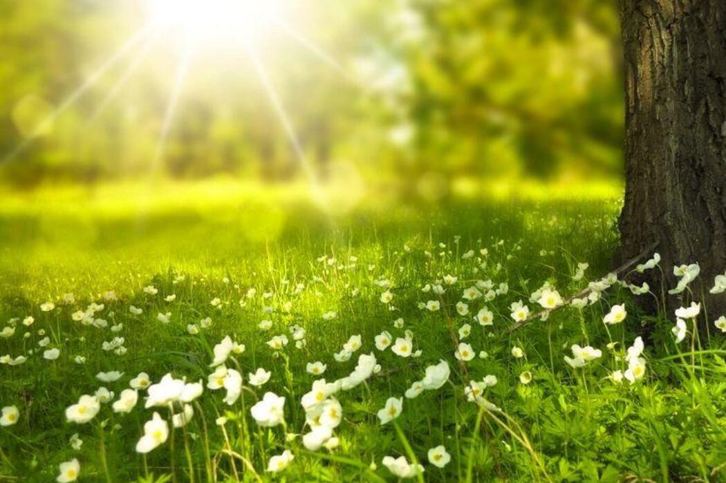 美好的周末.jpg 美好的周末.jpg