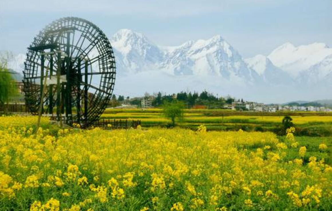 在春风里.jpg 在春风里.jpg