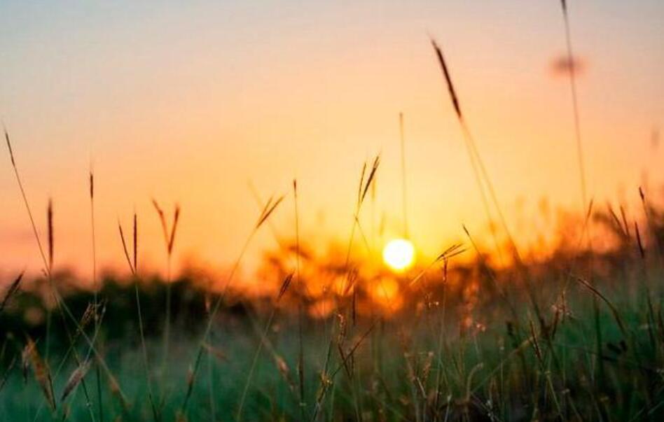 最好的时光.jpg 最好的时光.jpg