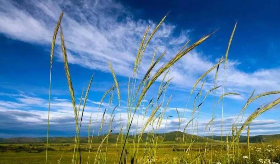 生命的平凡.jpg 生命的平凡.jpg