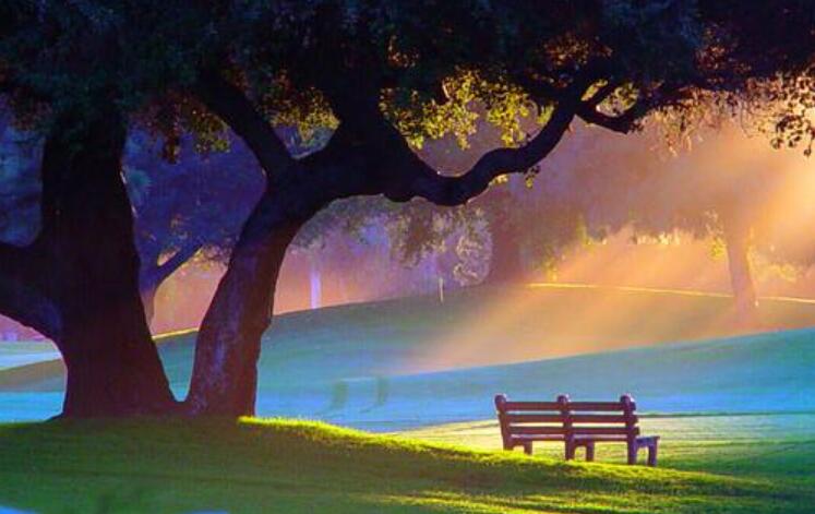 喜欢睡觉的风.jpg 喜欢睡觉的风.jpg