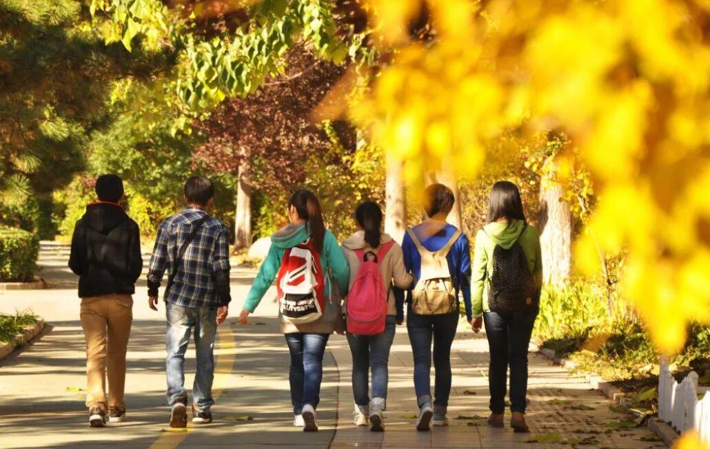 金秋的校园.jpg 金秋的校园.jpg