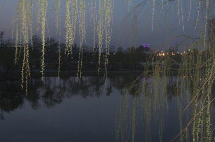 春夜遐想.jpg 春夜遐想.jpg