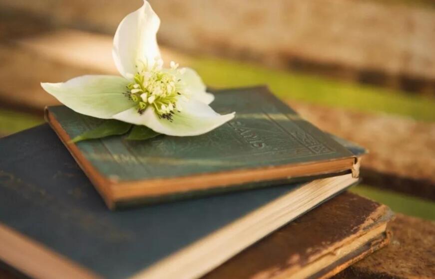 带一本书去旅行.jpg 带一本书去旅行.jpg