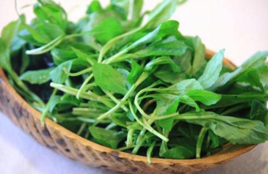 野菜飘香.jpg 野菜飘香.jpg