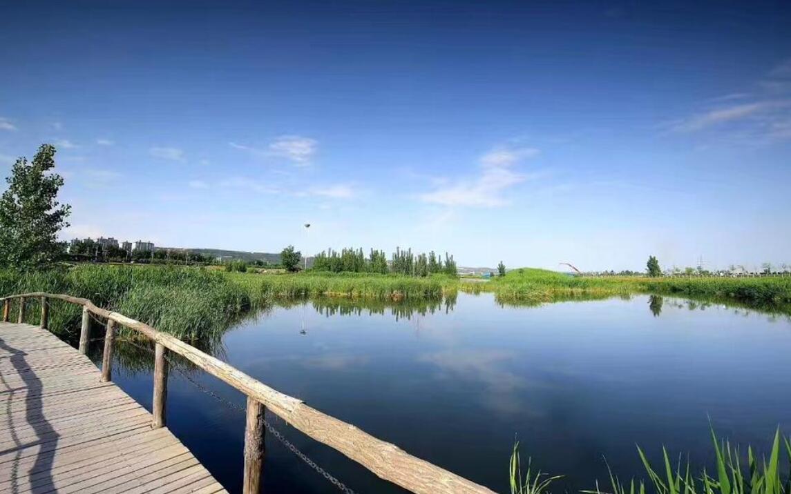 初夏写景.jpg 初夏写景.jpg