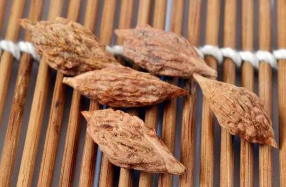 枣核.jpg 枣核.jpg