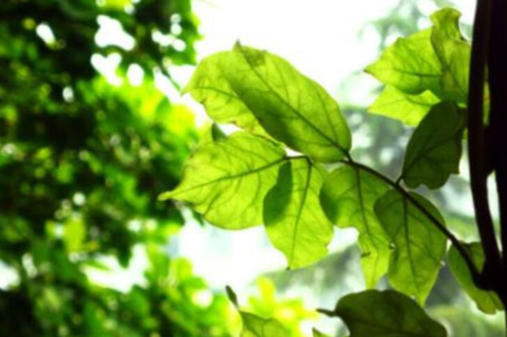 雨过天会晴.jpg 雨过天会晴.jpg