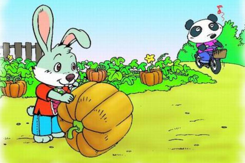 小兔运南瓜看图写话.jpg