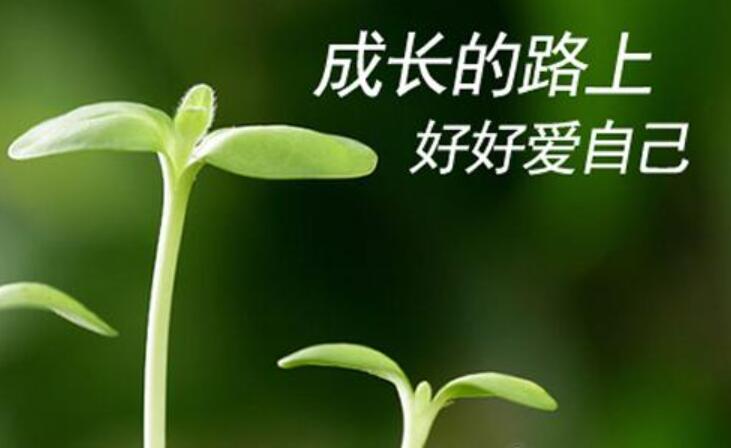 让成长充满味道.jpg 让成长充满味道.jpg