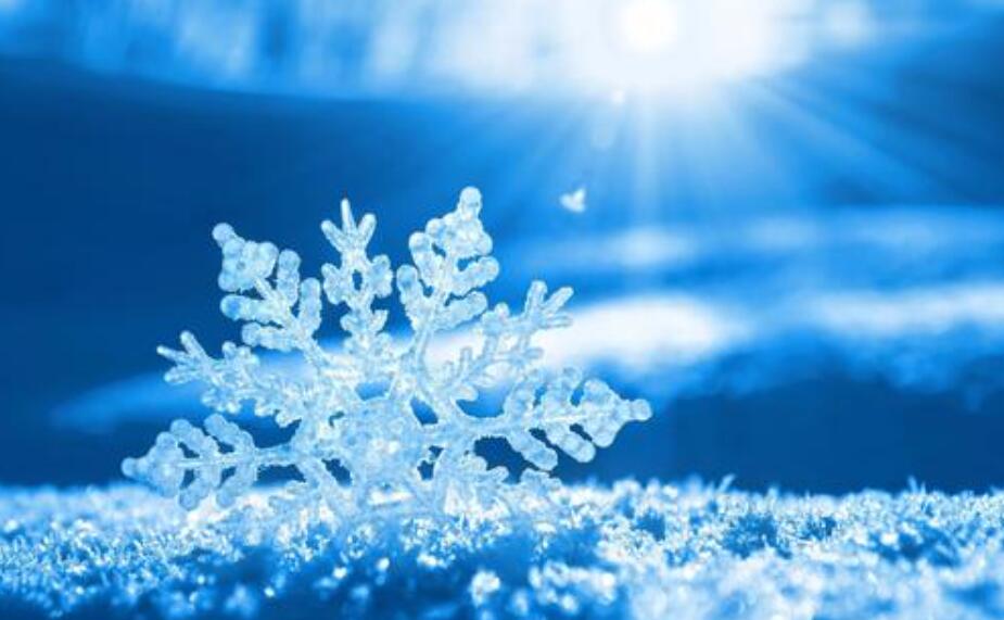 冬天飞舞的雪花.jpg 冬天飞舞的雪花.jpg