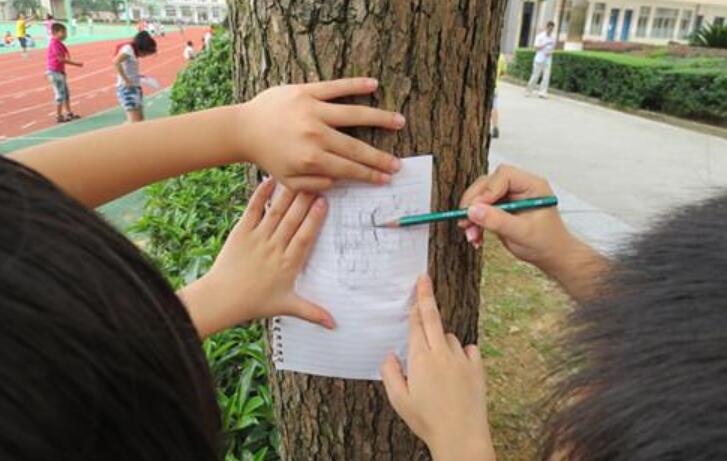 观察树木.jpg 观察树木.jpg