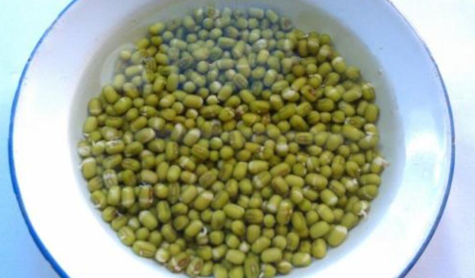 种豆芽.jpg 种豆芽.jpg