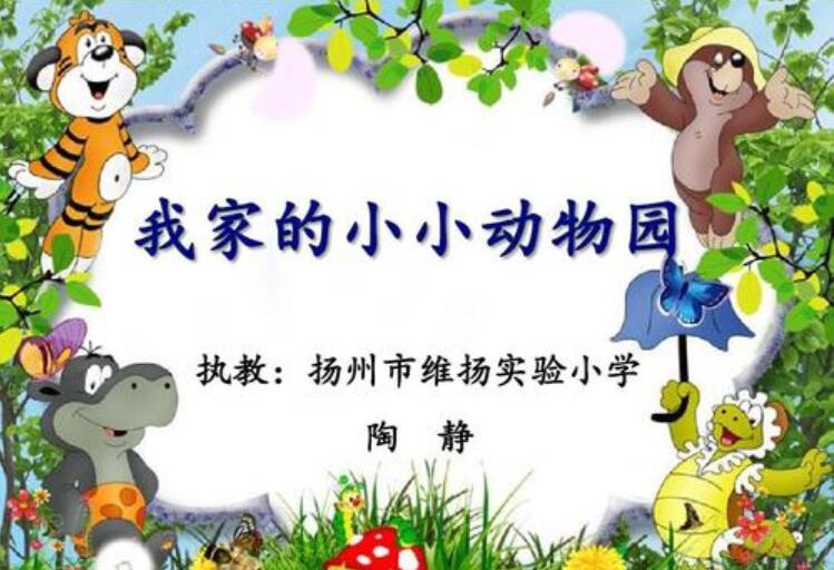 我家是个小小动物园.jpg
