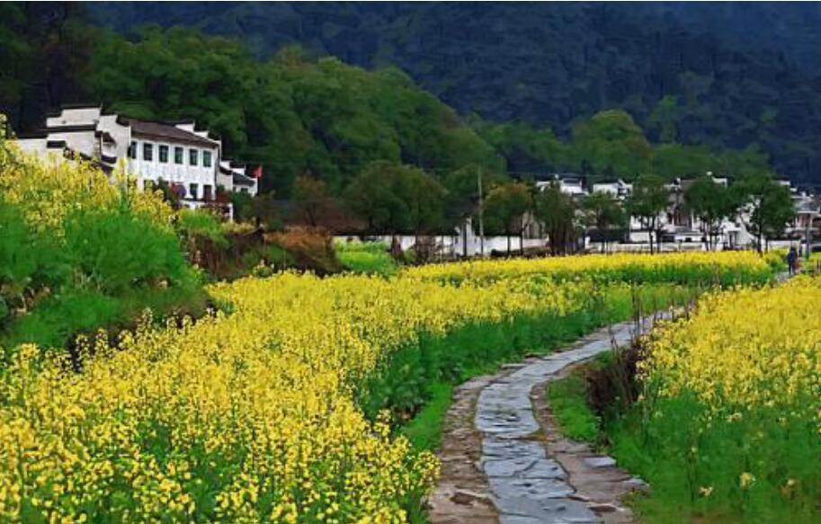 乡村美景.jpg 乡村美景.jpg