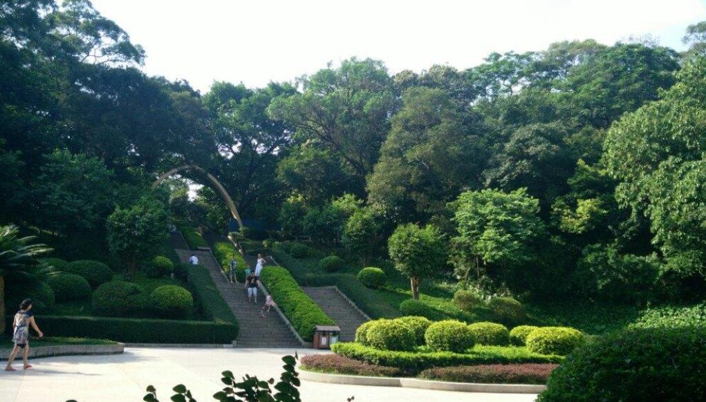 美丽的越秀公园.jpg 美丽的越秀公园.jpg