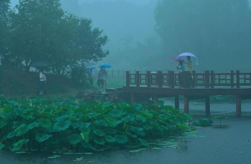 雨中即景.jpg 雨中即景.jpg