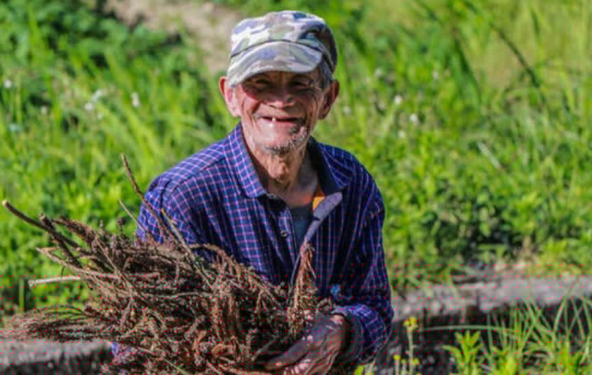 爷爷笑了.jpg 爷爷笑了.jpg