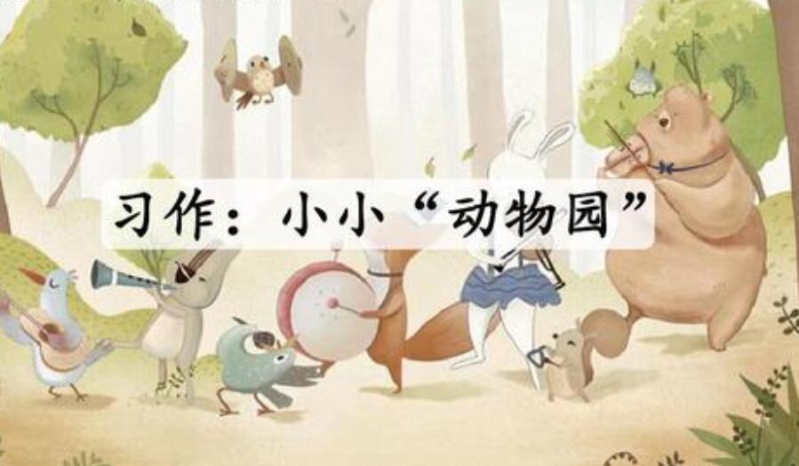 小小动物园.jpg
