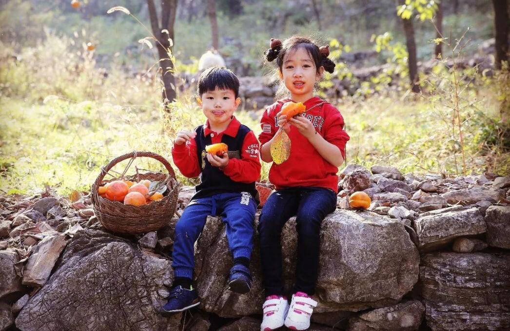 山坡上的童年.jpg 山坡上的童年.jpg