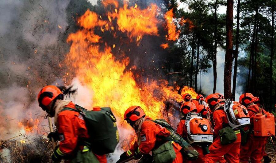 致敬森林消防员.jpg 致敬森林消防员.jpg