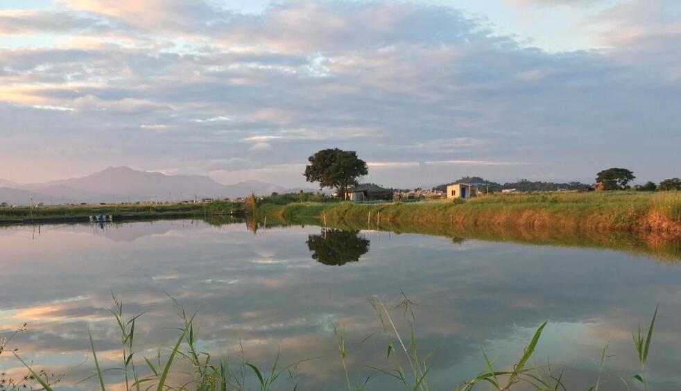 我爱家乡的鱼.jpg 我爱家乡的鱼.jpg